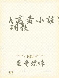 h高黄小说男男调教