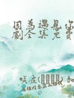 因为遇见你电视剧全集免费观看