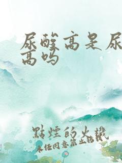 尿酸高是尿蛋白高吗