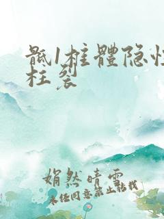 骶1椎体隐性脊柱裂