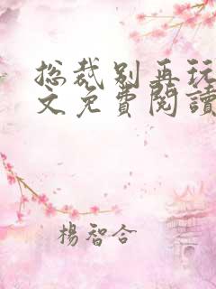 总裁别再玩了全文免费阅读