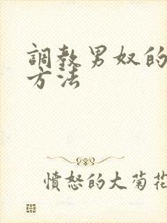 调教男奴的各种方法