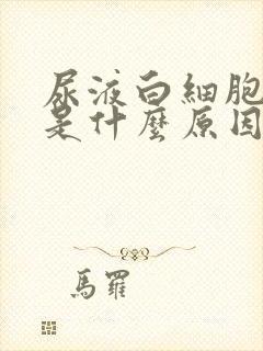 尿液白细胞很高是什么原因造成的