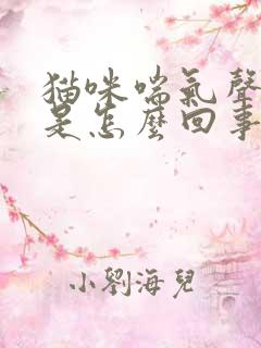 猫咪喘气声音粗是怎么回事