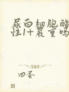 尿白细胞酯酶阳性1+严重吗