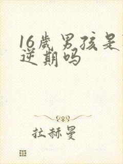 16岁男孩是叛逆期吗