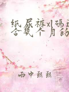 纸尿裤xl码适合几个月的宝宝