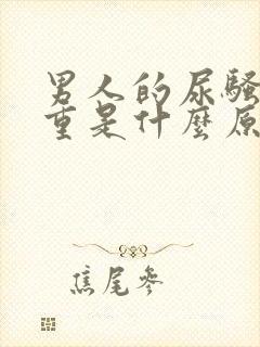 男人的尿骚味很重是什么原因