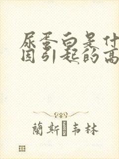 尿蛋白是什么原因引起的高