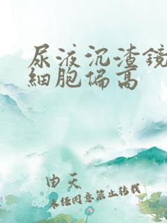 尿液沉渣镜检白细胞偏高