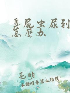 臭屁虫尿到皮肤怎么办