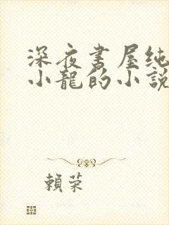 深夜书屋纯洁滴小龙的小说