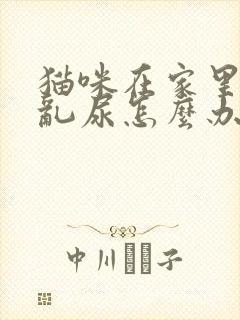 猫咪在家里乱拉乱尿怎么办