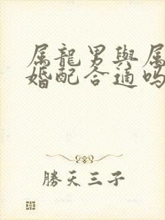 属龙男与属虎女婚配合适吗