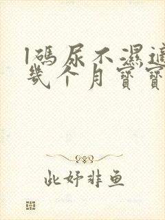 l码尿不湿适合几个月宝宝用