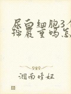 尿白细胞3个加号严重吗怎么治疗