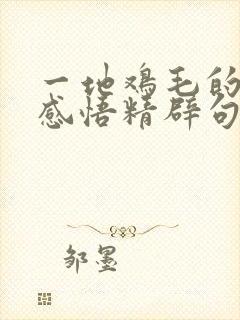 一地鸡毛的人生感悟精辟句子