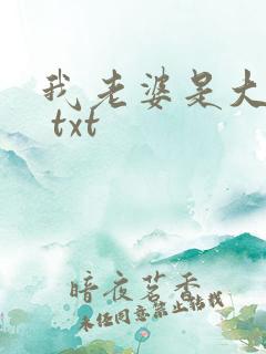 我老婆是大明星 txt