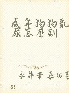 成年狗狗乱拉乱尿怎么训