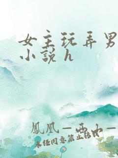 女主玩弄男人的小说 h