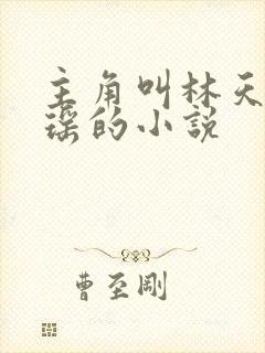 主角叫林天顾悦瑶的小说