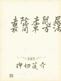 去除老鼠尿骚味最简单方法