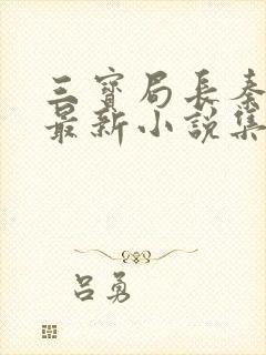 三宝局长秦守仁最新小说集