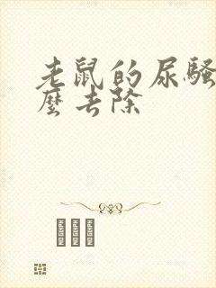 老鼠的尿骚味怎么去除