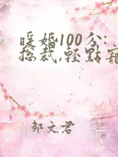 暖婚100分:总裁,轻点宠免费