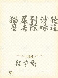 猫尿到沙发上怎么去除味道