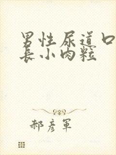 男性尿道口内口长小肉粒