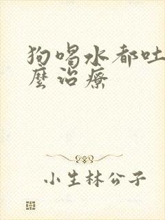 狗喝水都吐要怎么治疗