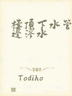 楼顶下水管道周边渗水