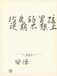 15岁的男孩叛逆期不想上学