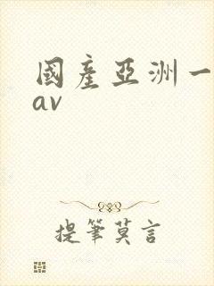 国产亚洲一区二av