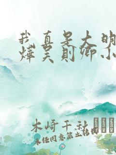 我真是大明星张烨吴则卿小说免费看