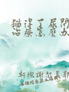 猫得了尿闭没钱治疗怎么办