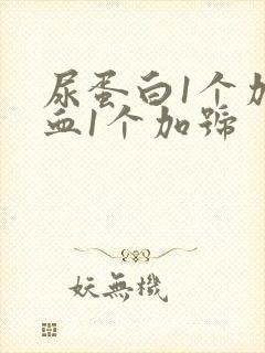 尿蛋白1个加隐血1个加号