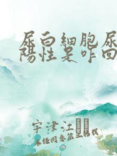 尿白细胞尿潜血阳性是咋回事