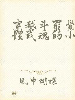 穿越斗罗觉醒本体武魂的小说