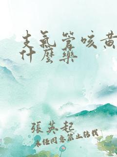 支气管咳黄痰吃什么药