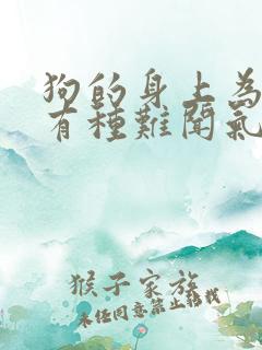 狗的身上为什么有种难闻气味