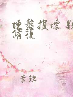 硬盘损坏 数据修复