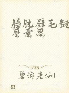 膀胱壁毛糙是什么意思