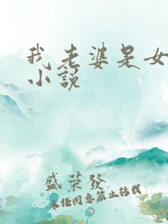 我老婆是女学霸小说