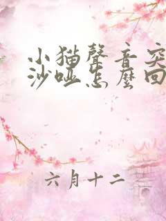 小猫声音突然变沙哑怎么回事