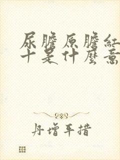 尿胆原胆红素1十是什么意思