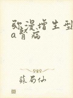 弥漫增生型iga肾病