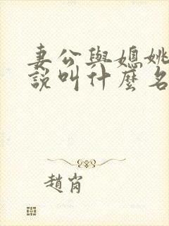 妻公与媳姚瑶小说叫什么名字