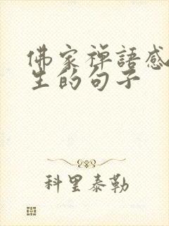 佛家禅语感悟人生的句子